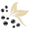 pearlleaflogo